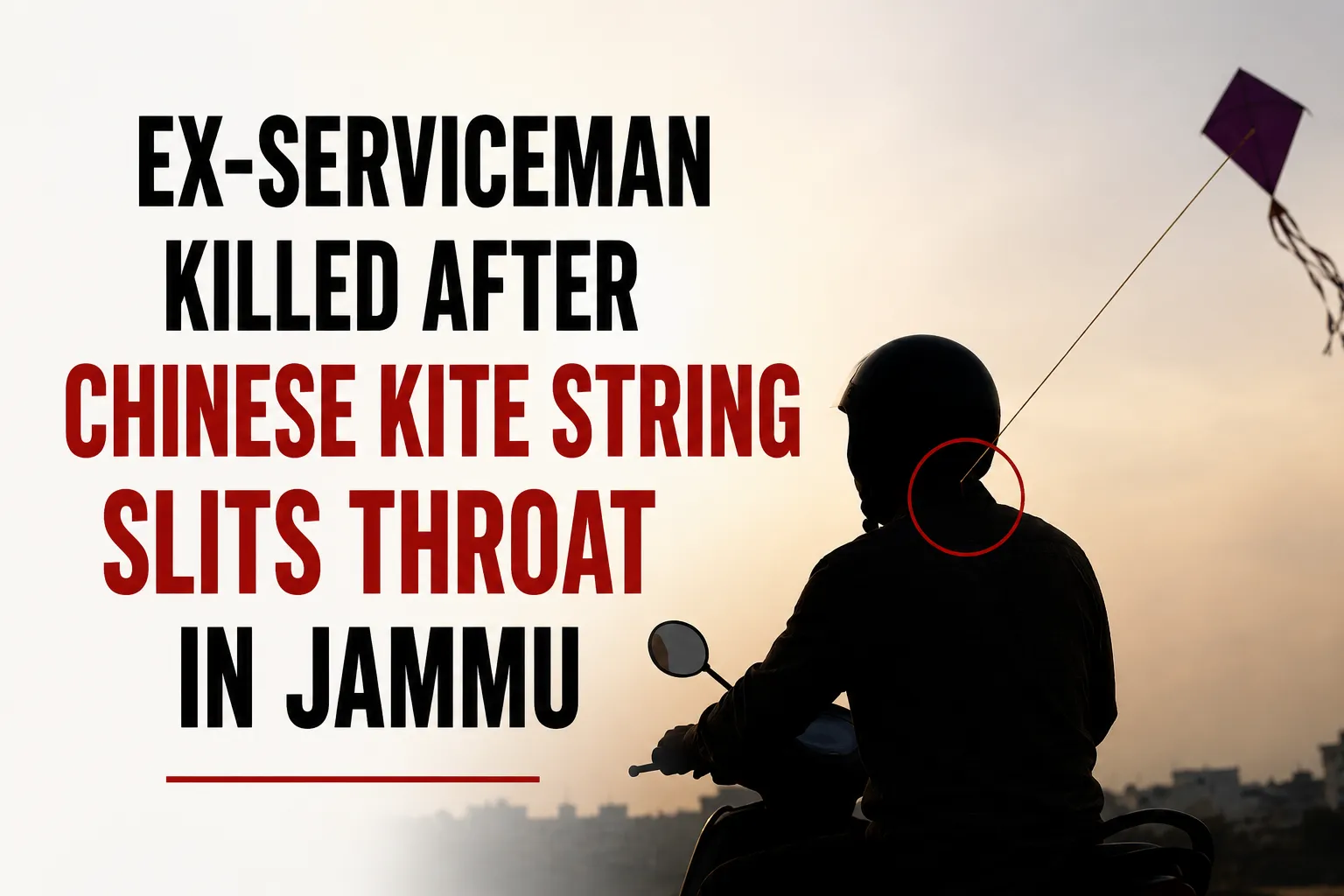 Ex-Serviceman Killed After Chinese Kite String Slits Throat in Jammu