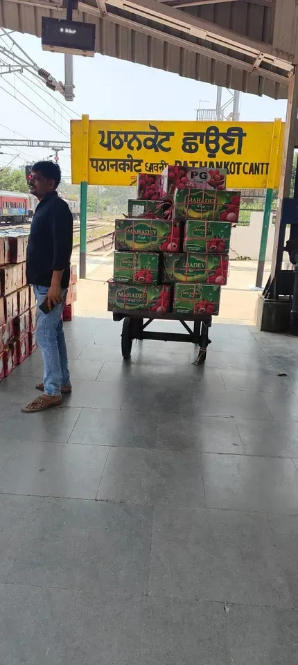 Jammu Division Sets New Fruit Loading Record, Dispatches 250 Tonnes of Cherries and 10 Tonnes of Litchis Across India