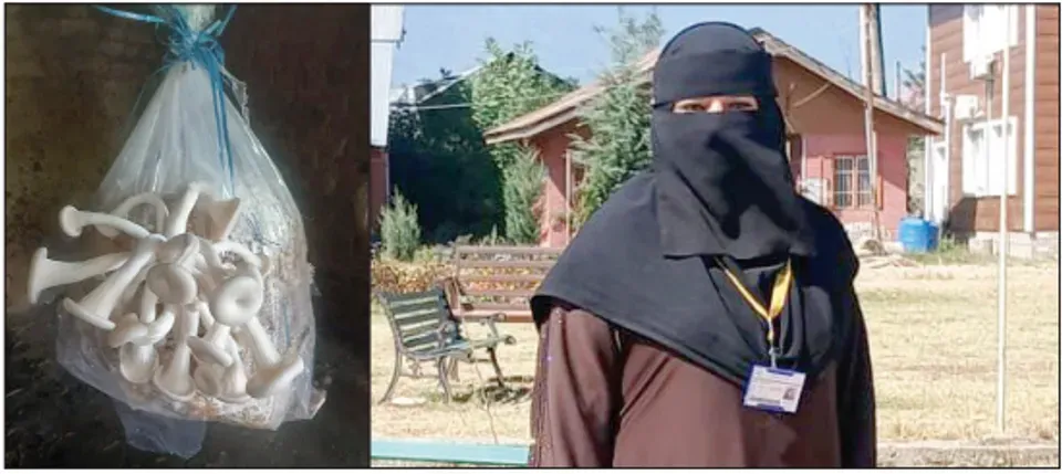 A Harvest of Hope: Kupwara woman’s journey from hardship to self-reliance