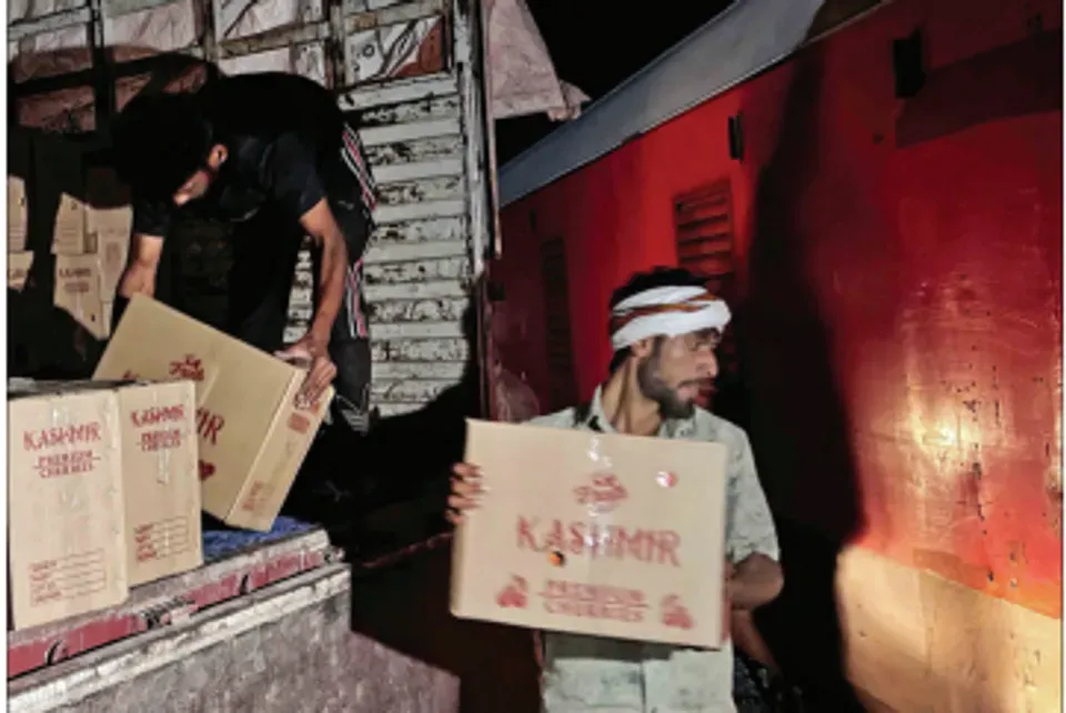 43 tonnes of cherries from Kashmir transported through SLR, parcel vans